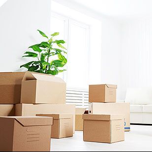 Beginning / End of Tenancy Cleaning